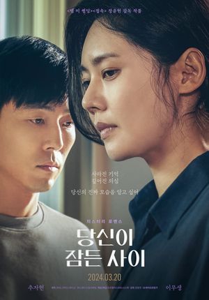 While You Were Sleeping's poster