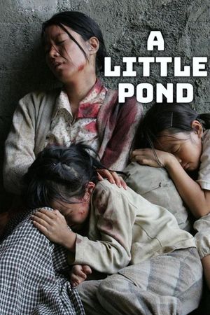 A Little Pond's poster