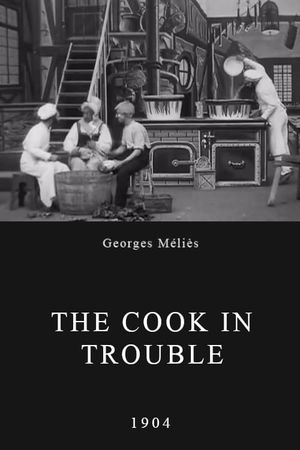 The Cook in Trouble's poster image