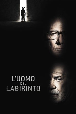 Into the Labyrinth's poster