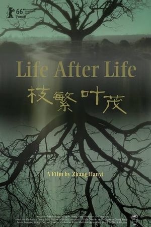 Life After Life's poster