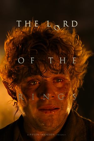 The Lord of the Rings: The Return of the King's poster