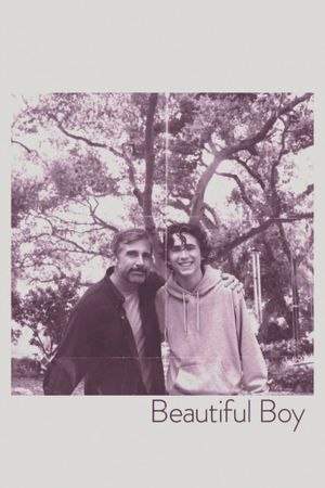 Beautiful Boy's poster