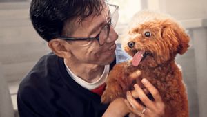 Pets's poster