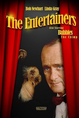 The Entertainers's poster