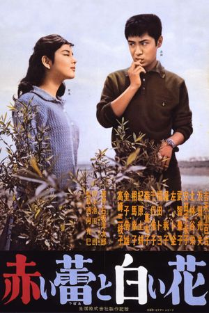 Red Bud and White Flower's poster
