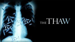 The Thaw's poster