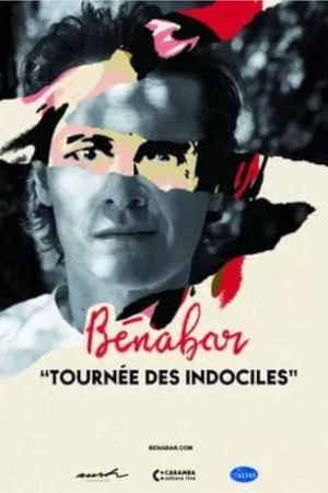 Bénabar - Tournée des indociles's poster