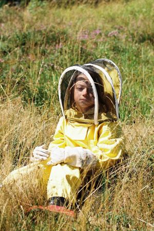 20,000 Species of Bees's poster