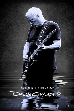David Gilmour: Wider Horizons's poster