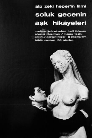 Love Stories of the Pale Night's poster