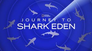 Journey to Shark Eden's poster