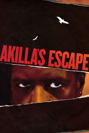 Akilla's Escape's poster image