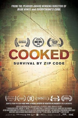 Cooked: Survival by Zip Code's poster image