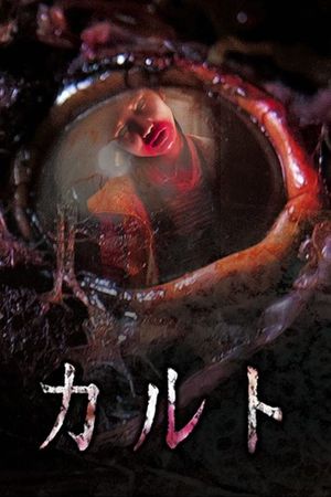 Cult's poster