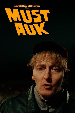 The Black Hole's poster