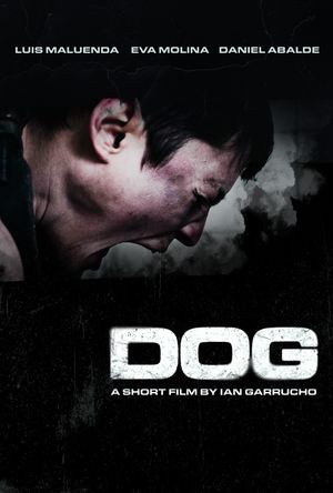 Dog's poster image