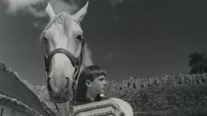 The Boy Who Loved Horses's poster