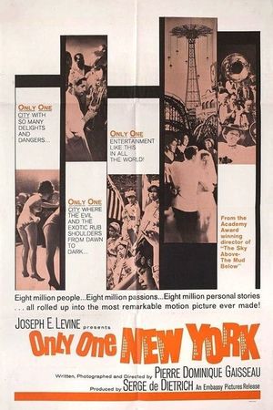 Only One New York's poster