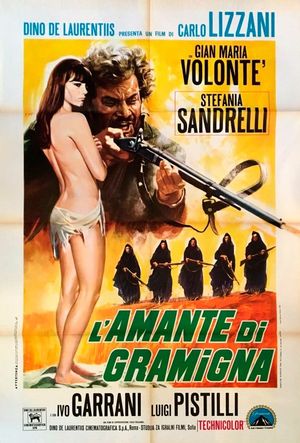 The Bandit's poster