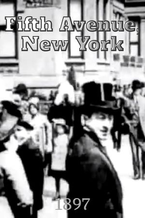 Fifth Avenue, New York's poster