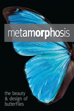Metamorphosis: The Design and Beauty of Butterflies's poster