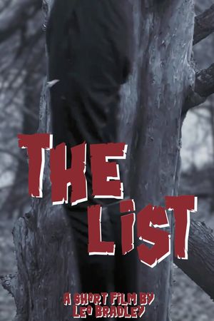 The List's poster image