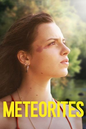 Meteorites's poster