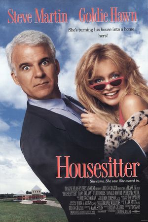 HouseSitter's poster