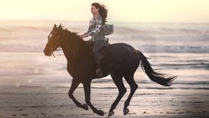 Black Beauty's poster