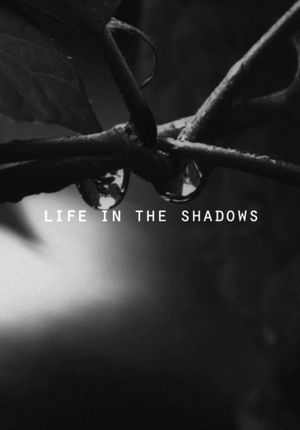 Life in the Shadows's poster