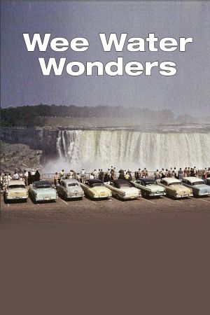 Wee Water Wonders's poster