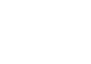 Ring 2's poster