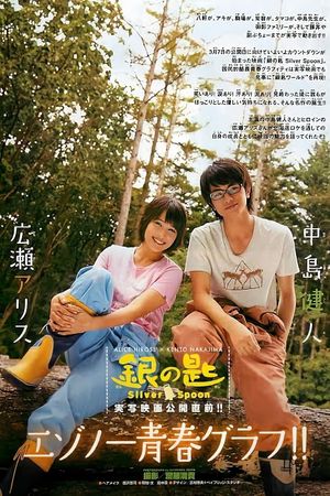 Silver Spoon's poster