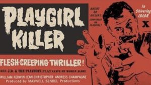 Playgirl Killer's poster