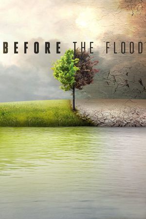 Before the Flood's poster