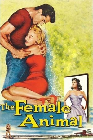 The Female Animal's poster