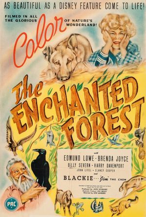 The Enchanted Forest's poster