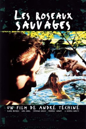 Wild Reeds's poster