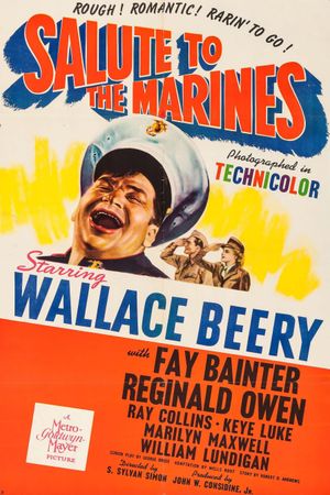 Salute to the Marines's poster