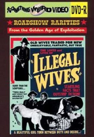 Polygamy's poster image