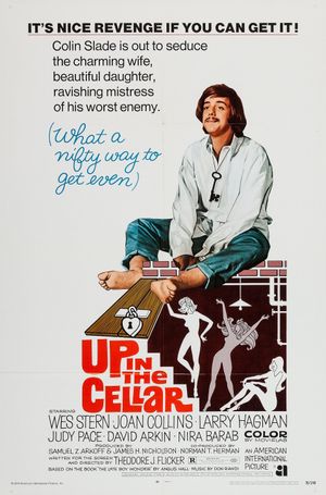Up in the Cellar's poster