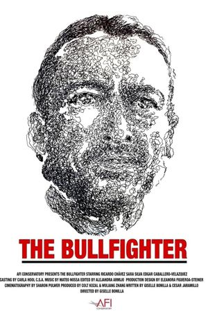 The Bullfighter's poster image