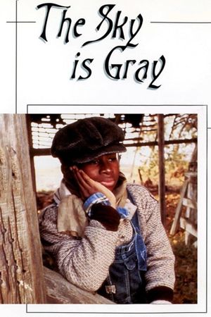 The Sky Is Gray's poster