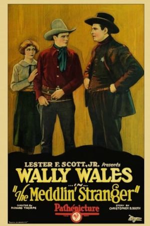 The Meddlin' Stranger's poster