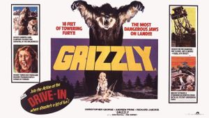 Grizzly's poster