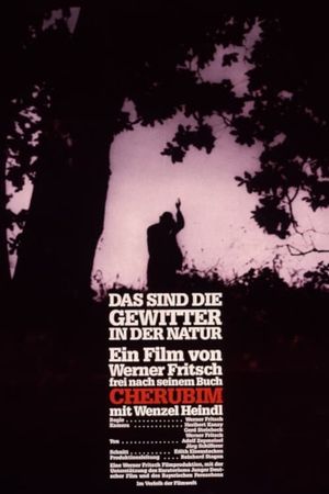 Das sind die Gewitter in der Natur's poster image