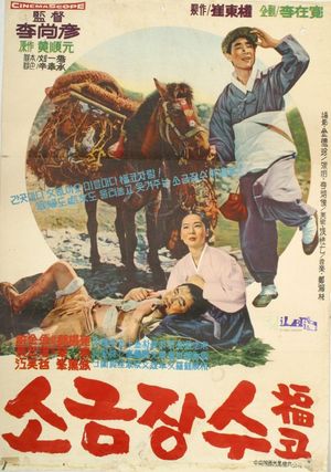 A Salt Peddler's poster