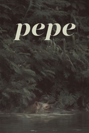 Pepe's poster