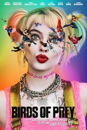 Birds of Prey and the Fantabulous Emancipation of One Harley Quinn's poster